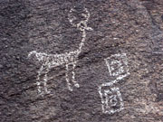 Petroglyphs in South Mountain Park