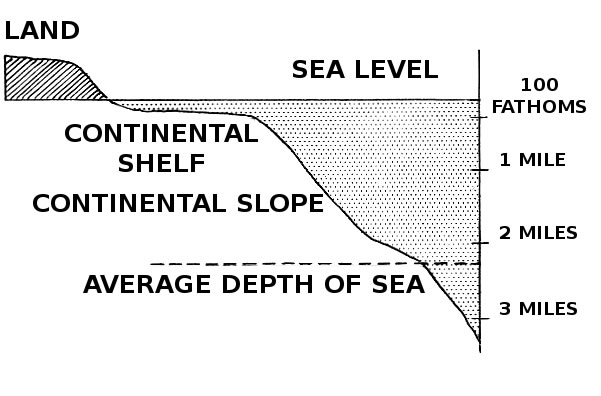 the-coastal-biome-ask-a-biologist