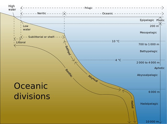 Ocean zones or divisions