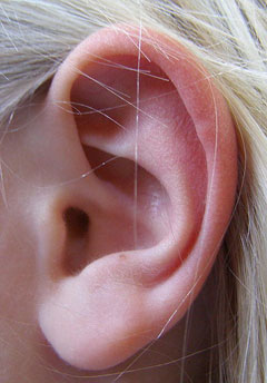unattached earlobe