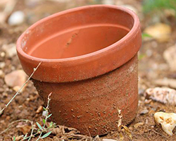 An empty terra cotta pot