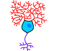 perkinje neuron