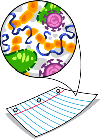 Germs on paper