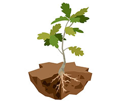 Plant avatar