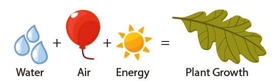 Água, Ar (CO2), energia são necessárias para a massa da planta.onde as plantas obtêm a sua massa.