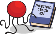 Virus cartoon - looking at a book about how to infect a cell.