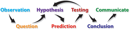 The elements of the scientifice method