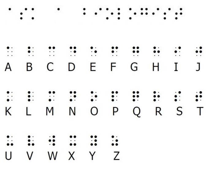 Moving Ahead: Turtle and the Rabbit, Print-Braille Book with Large Print  Reader's Guide