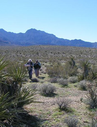 Una caminata en el desierto de Sonora gereralmente se convierte en una historia de detective CSI.