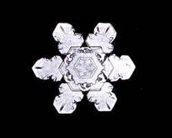 snowflake on a black background