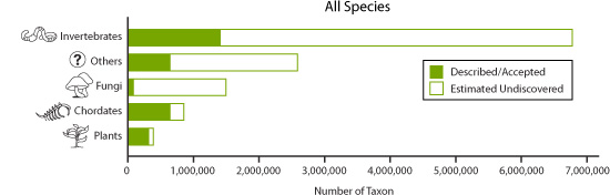 Graph of All Species