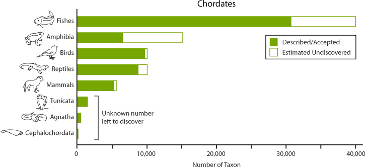 How Many Known Species Are There On Earth The Earth Images Revimage Org