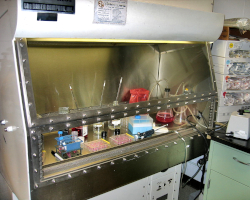 a laminar flow hood with chemicals inside