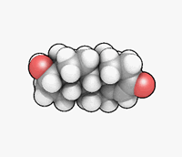 La testosterona animado molécula