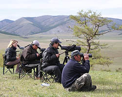 Kessler and team observing bustards