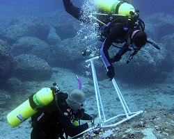 Scientific scuba diving