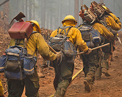 A line of wildland firefighters, also known as &quot;hotshots&quot; carrying equipment through a smoldering forest