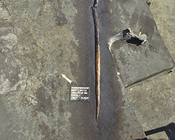 Fire-hardened ancient spear from when humans were first using fire