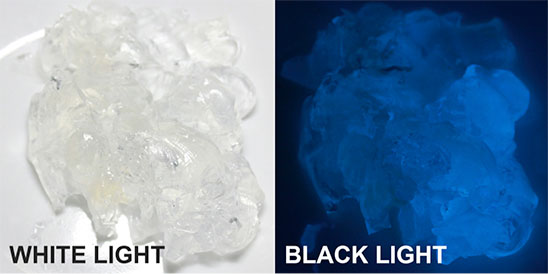 Resected tumor tissue (gelatin) under white and black light.