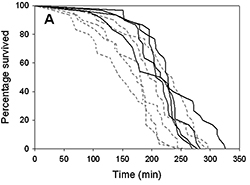 A graph showing ant survival over time for a high temperature treatment