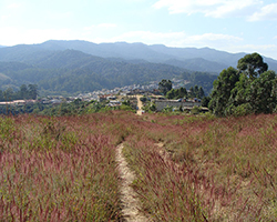 A more rural area outside of Sao Paulo, Brazil, showing a meadow and trail in the foreground and low buildings in the background