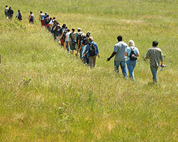 A class field trip where the class is walking through a field