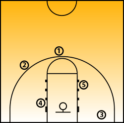 Basketball team positions