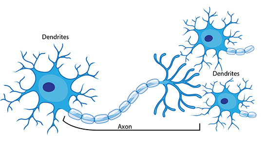 Neuron network illustration