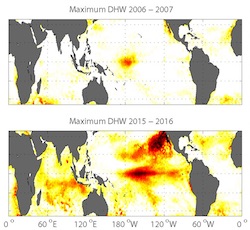 Coral study heat map of meta-analyses data