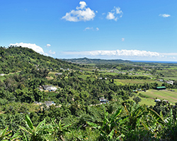 Farmland in Puerto Rico