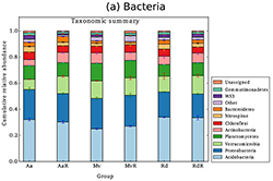 Bacteria diversity increased in invaded sites