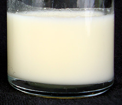 Hindmilk breast milk