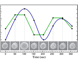 Graph of how the spore drop changes with humidity over time.