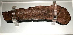 A large piece of fossilized poop rests on two clear plastic holders. The whole setup rests on a white base that slightly reflects the overhead lighting. The light source cannot be seen.