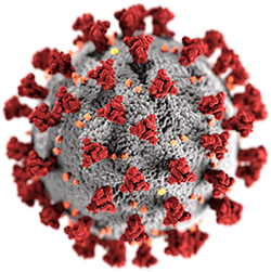 SARS Coronavirus 2