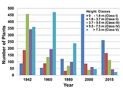 A graph showing a study population of saguaro's age structure across several decades.