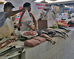 A fish market in Chiclayo