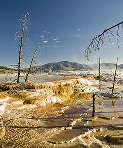 A picture of mammoth hot springs in Yellowstone