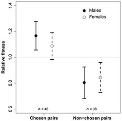 Fitness of chosen and assigned pairs