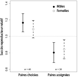 Le succès reproducteur des mâles et des femelles (sur l’axe de gauche) est visible sur ce graphique, pour les paires choisies (à gauche du graphique) et les paires assignées (à droite).