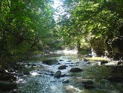 River Biome