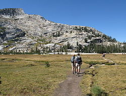 two hikers walk along a narrow path through a field. They head towards a large mountain that appears to be snow covered. There are pine trees covering the view of the mountain. 