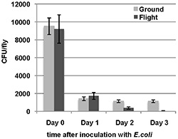 Graph showing that being reared in space affects immune function of fruit flies.