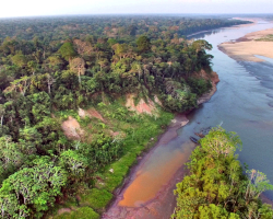 a river in the Peruvian Amazon