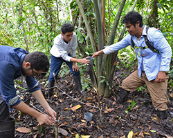 Hinsby Cadillo-Quiroz working with two students to study gas exchange in peatlands in Peru.