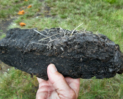 A chunk of peat being held