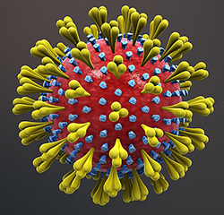 An illustration looking at the outside of a coronavirus