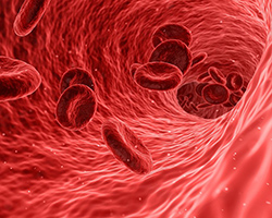 An illustration of red blood cells in a blood vessel