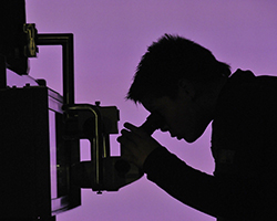 a silhouette of a young student looking into a microscope