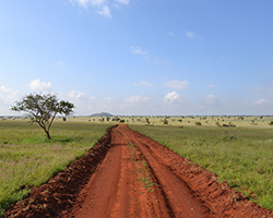 A road going through Kenya savanna